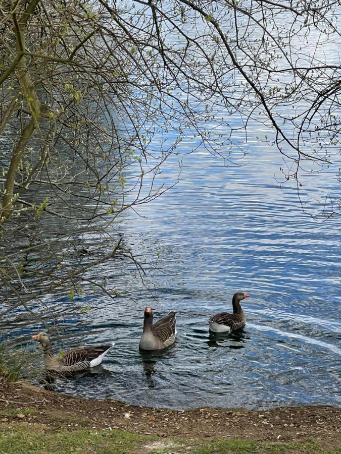 Sunscape Breaks At Tattershall Lakes 호텔 외부 사진