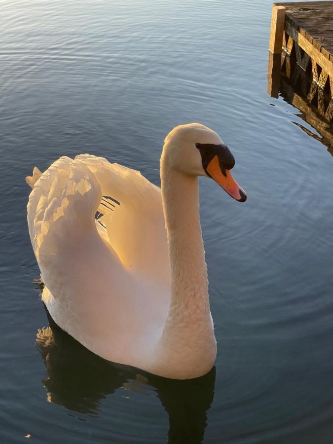 Sunscape Breaks At Tattershall Lakes 호텔 외부 사진